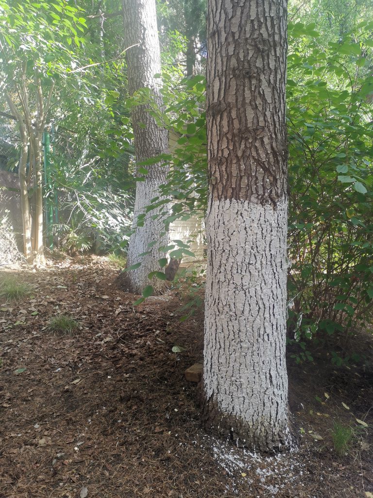 Img 20221022 131313